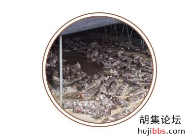 经济损失1.26亿元！强降雨致钟祥15万人50万亩农田受灾