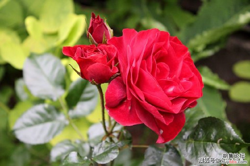 ea3c21d9aab34a1f99af523fb9cbd691.jpg