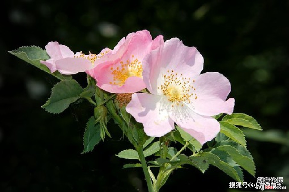 a5dfc38496a248e8bca4ed5b7ee63944.jpg