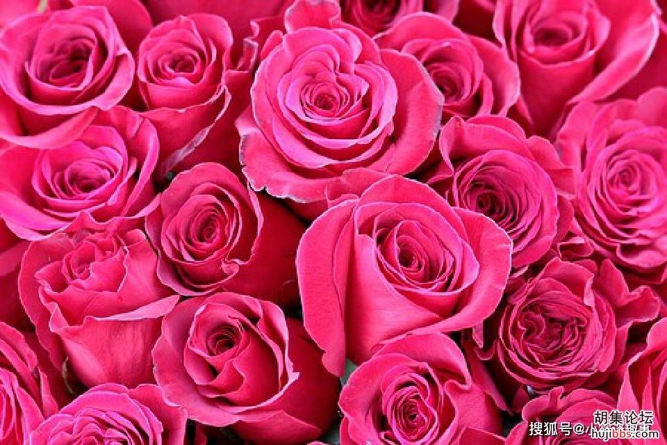 649a8816552241a281bee8079652caec.jpg