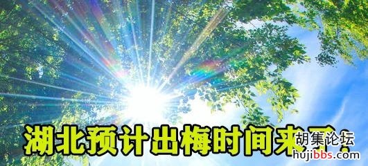 湖北61个县（市、区）启动防汛应急响应