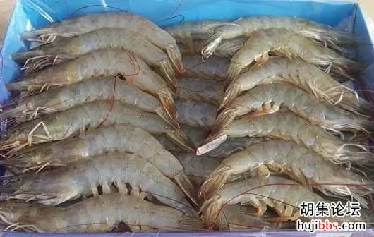 多地紧急通报！41天10地冷冻食品检出新冠病毒，世卫组织...