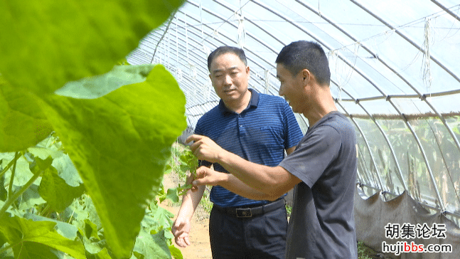 脱贫增收  磷矿镇前小河村信心十足！