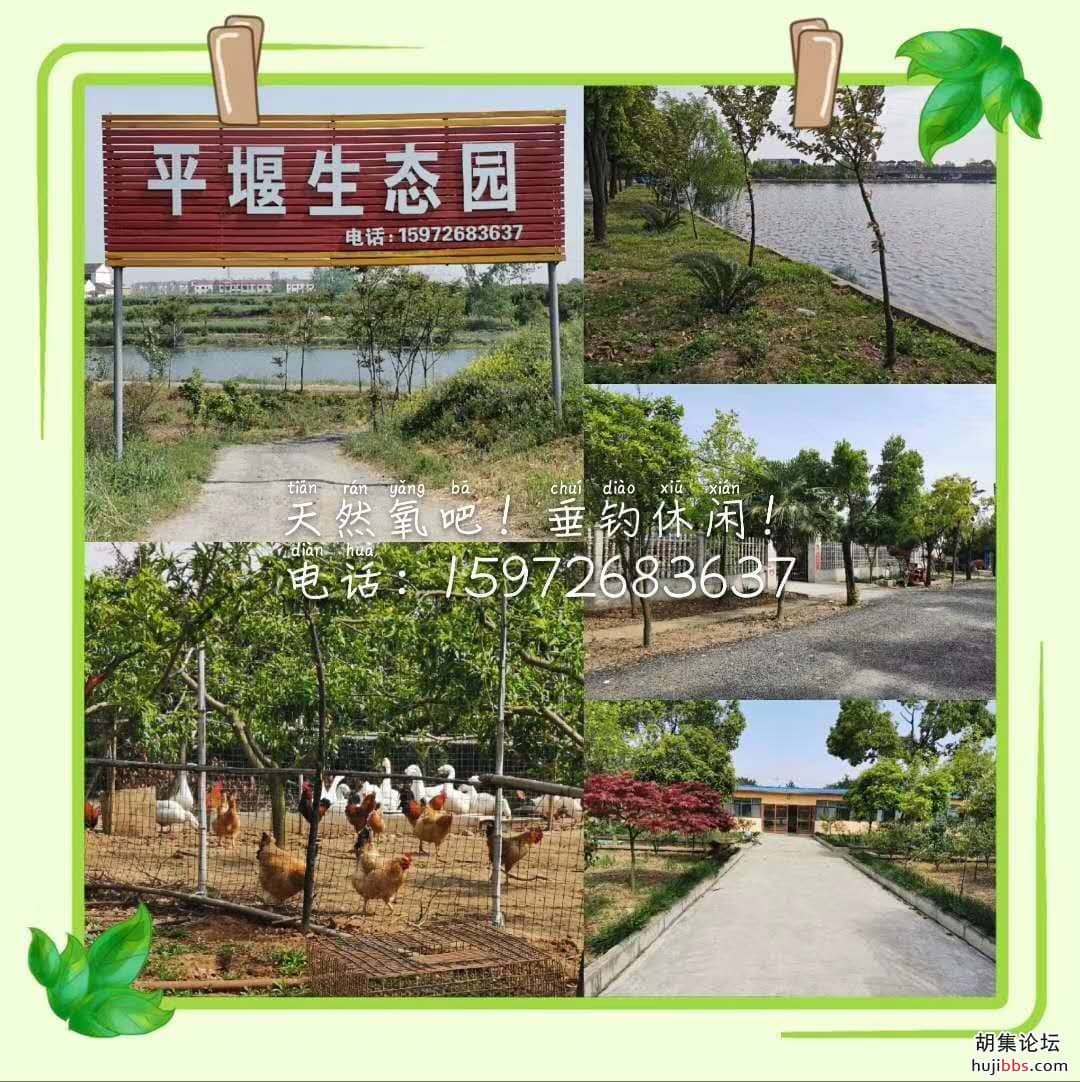 平堰生态园，急需服务员一名