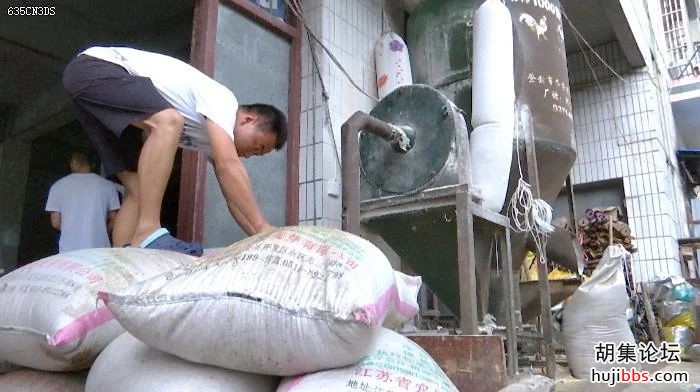 钟祥集中销毁14000斤假劣种子