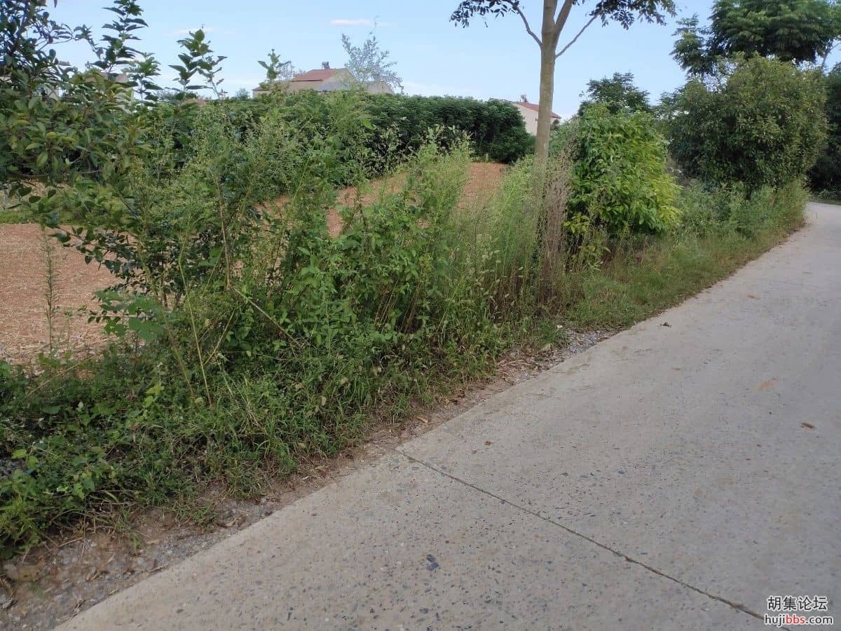 双河镇大桥村网格员清路障保交通安全