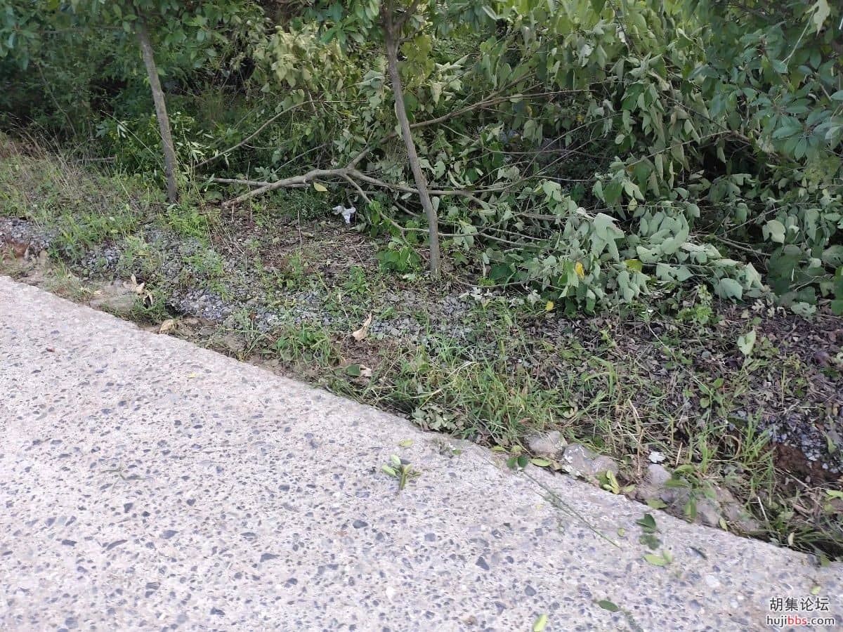 双河镇大桥村网格员清路障保交通安全