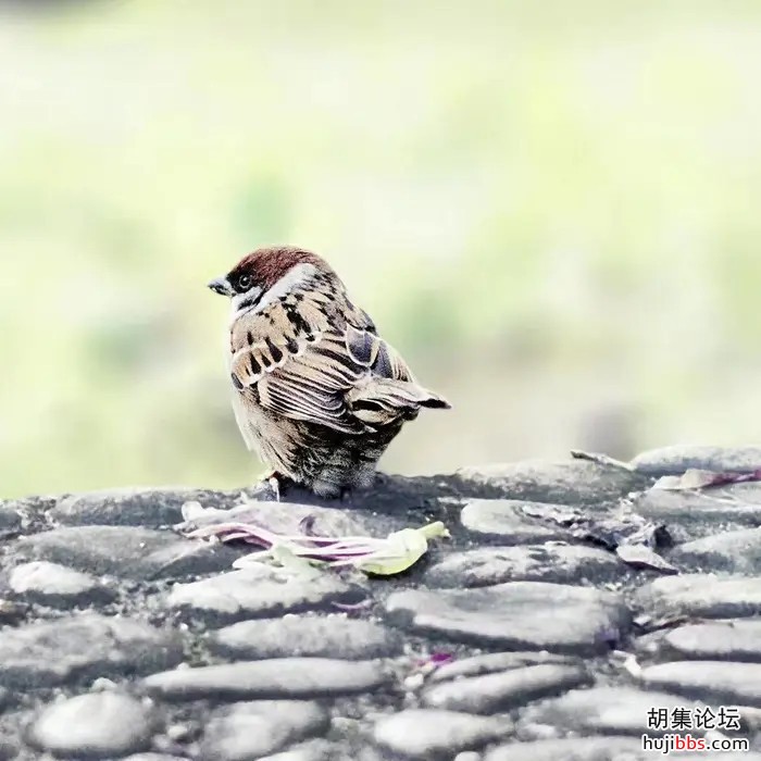 wechat_upload15985318525f47a90cb3fd7
