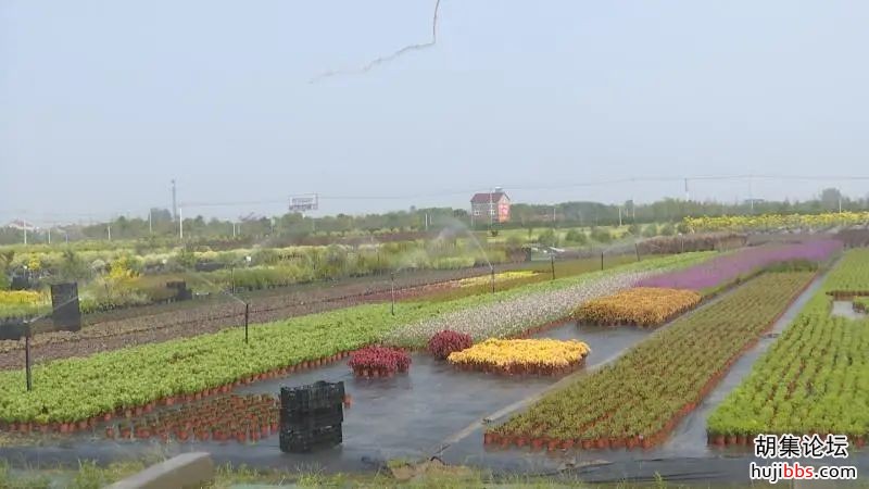 何平调研部分重点项目建设和运行情况