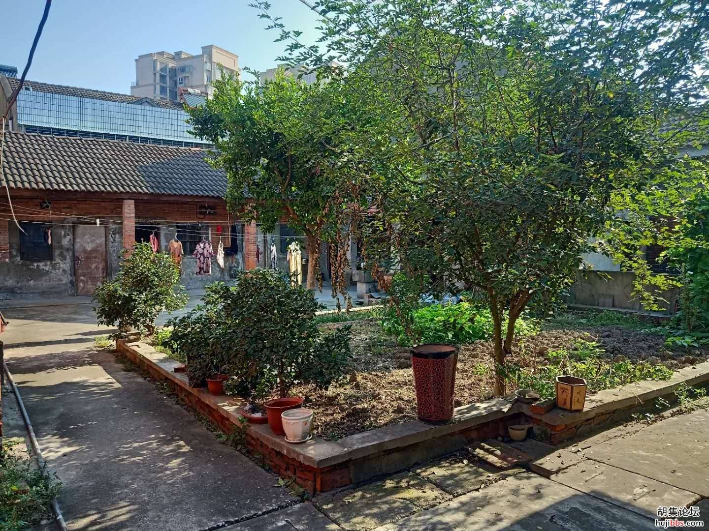 胡集镇平堰村4组屋基低价出售