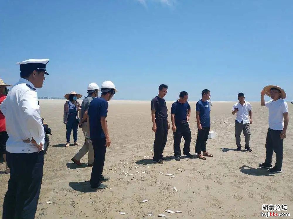 诡异！国内知名景区突现大量死鱼，场面惊心......