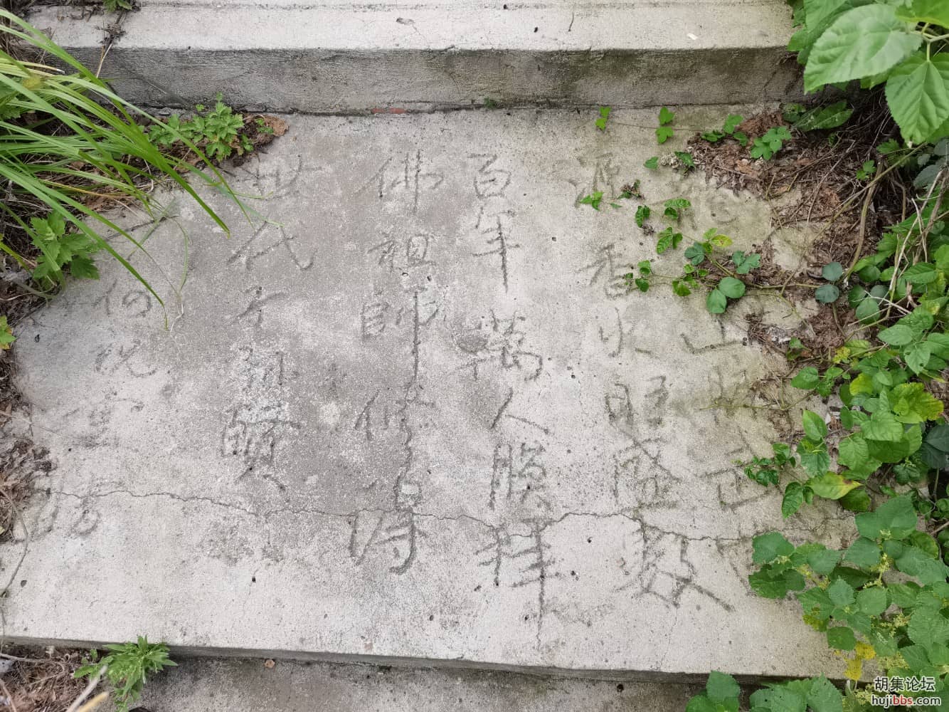 龙会山一游