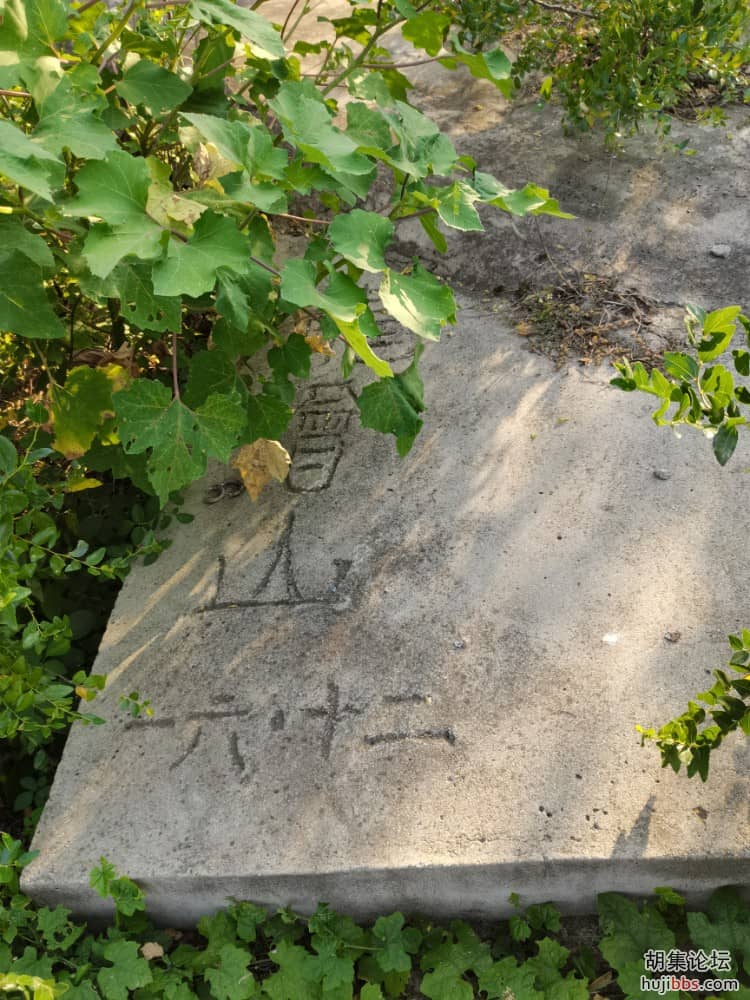 龙会山一游