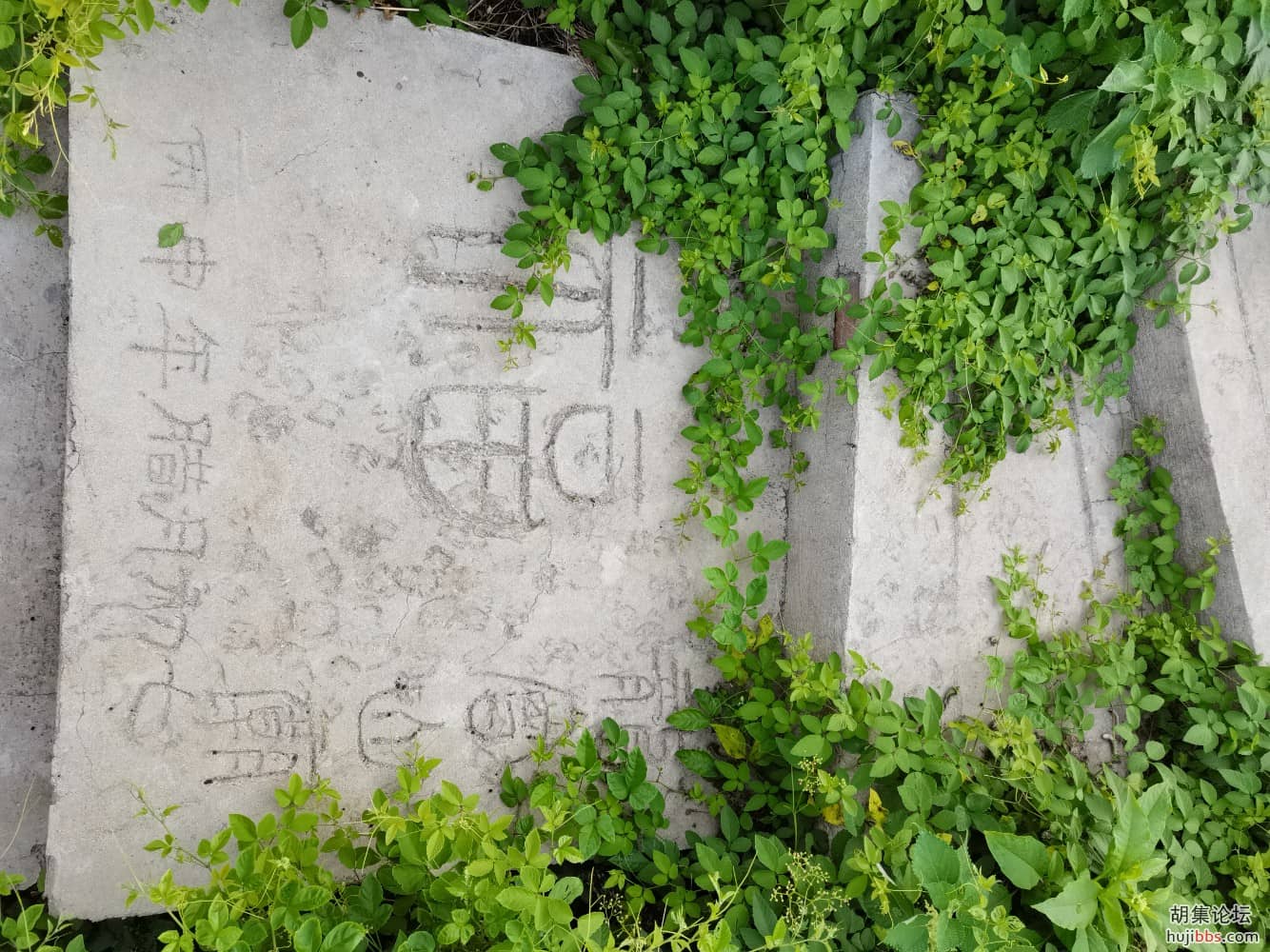 龙会山一游