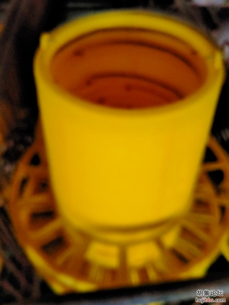 IMG20200921165644.jpg