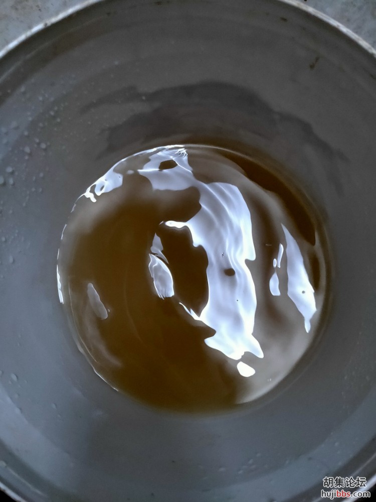 IMG20201006193106.jpg