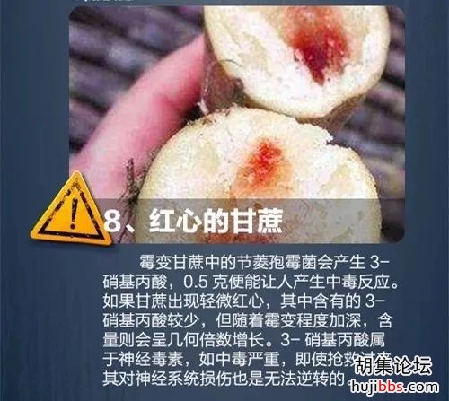 痛心！9人死亡！酸汤子中毒事件唯一幸存者去世