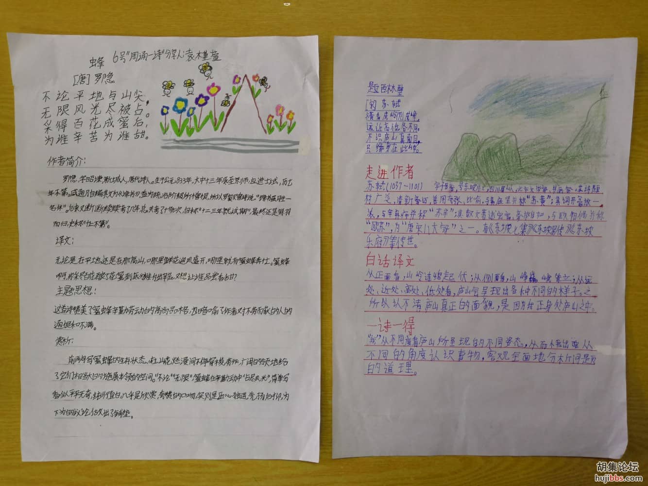 荆襄东区小学四（1）班“周诵一诗”分享（手抄报）