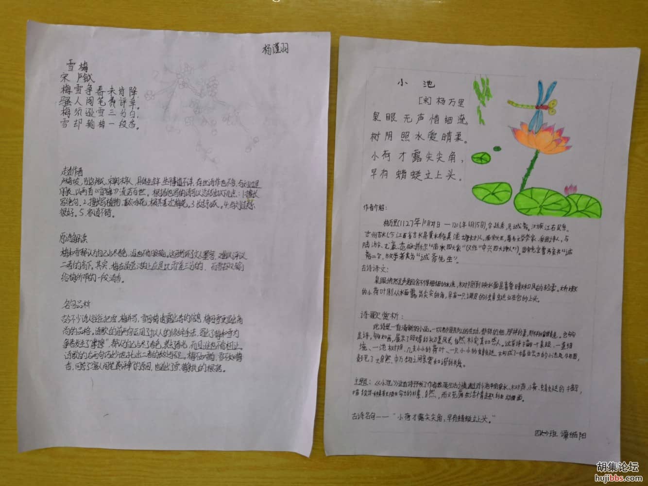 荆襄东区小学四（1）班“周诵一诗”分享（手抄报）