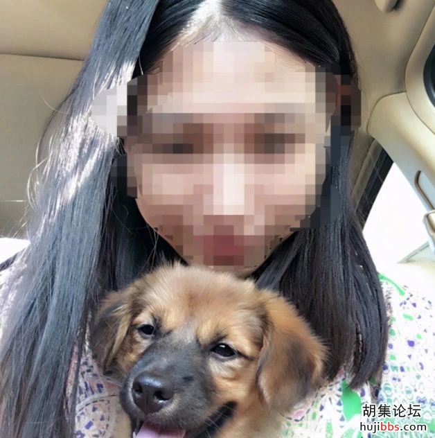 人不如狗！上海杀妻焚尸案：女孩爱犬为救主冲入火海，...
