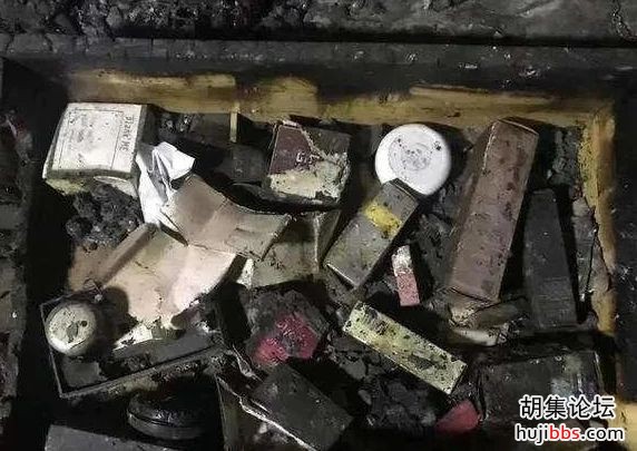人不如狗！上海杀妻焚尸案：女孩爱犬为救主冲入火海，...