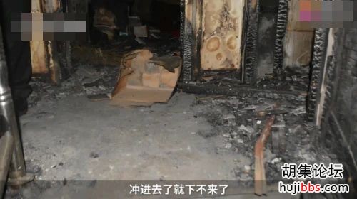 人不如狗！上海杀妻焚尸案：女孩爱犬为救主冲入火海，...