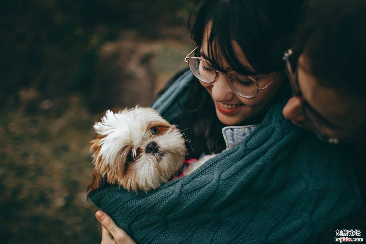人不如狗！上海杀妻焚尸案：女孩爱犬为救主冲入火海，...