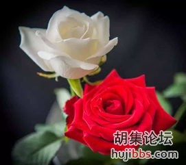 cc7b01d173a8240cf8f3a24d8f9a6187.jpg