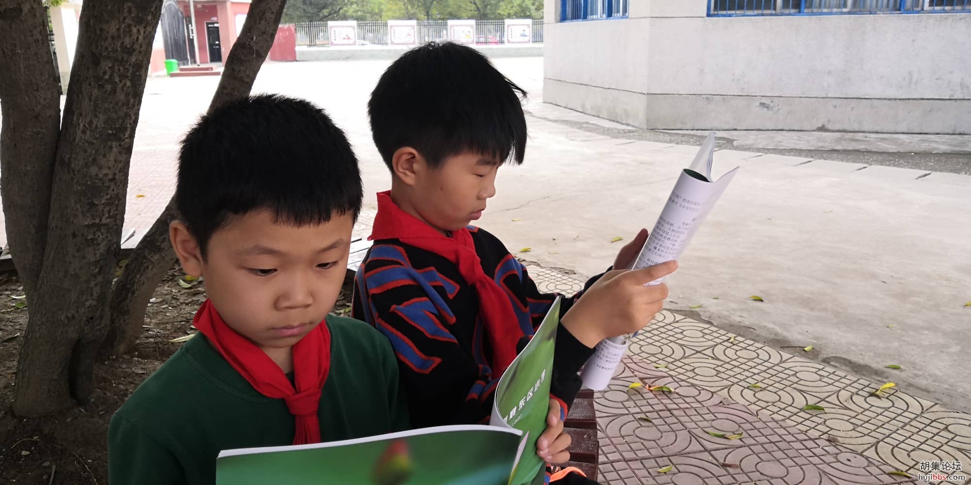 【胡集娃子优秀习作】我们的学校