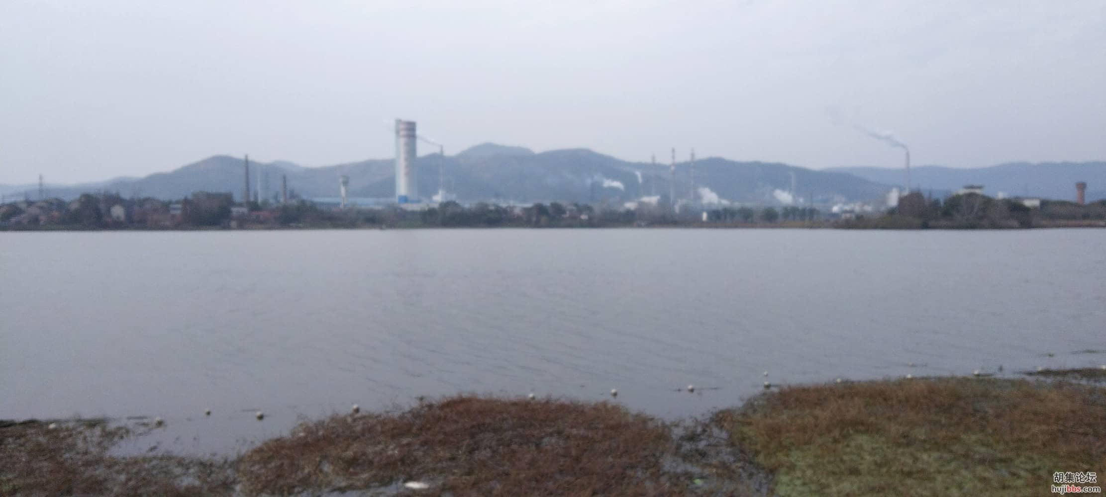 金牛山社区风光