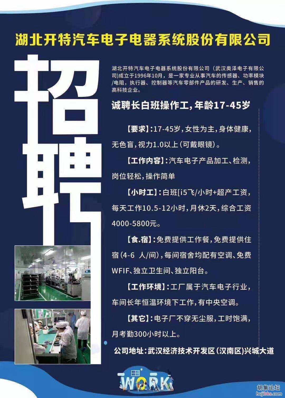 湖北开特汽车电子电器系统股份有限公司招聘