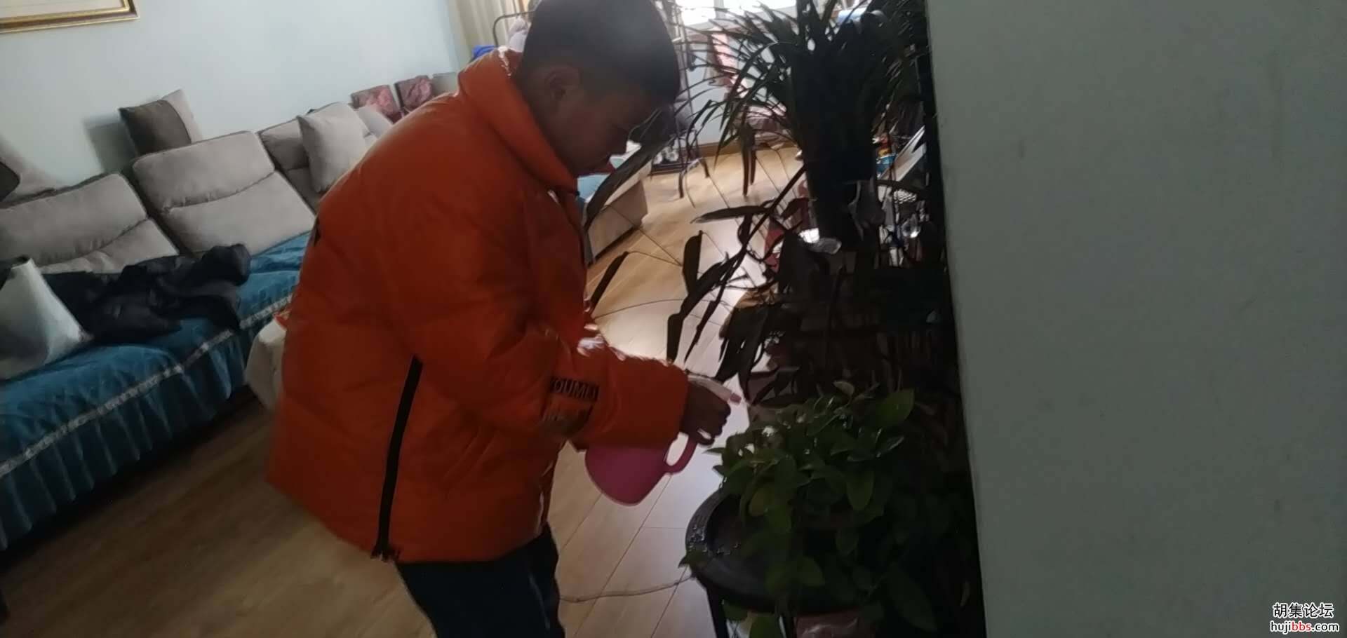 我们的假期生活•劳动篇（1）
