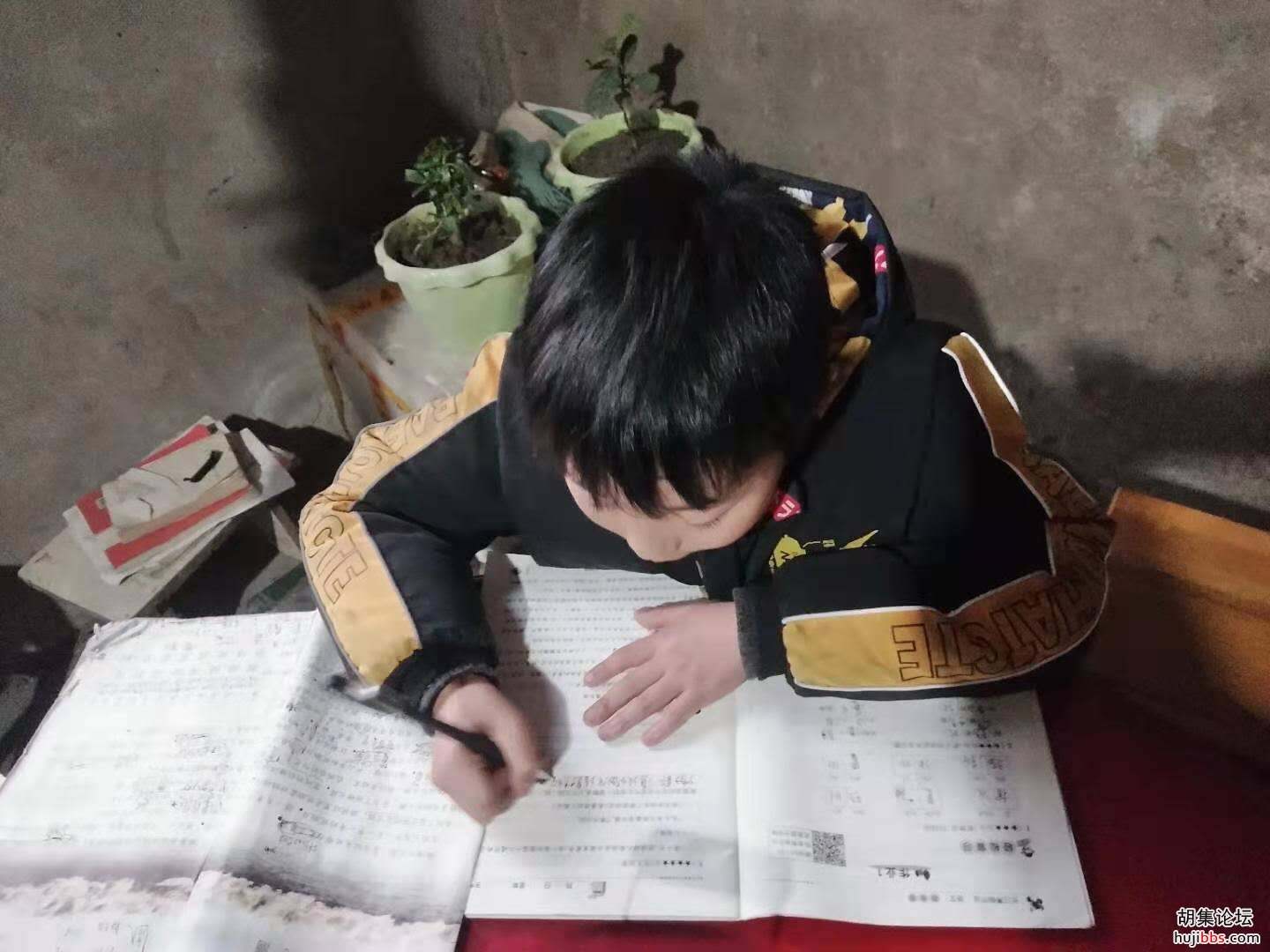 【时空相隔  教育在线】（3）我们的寒假生活•我们爱学习