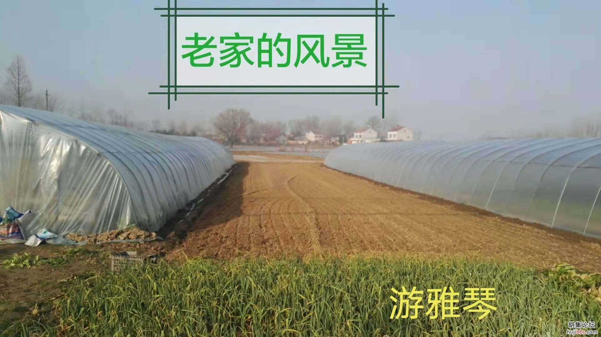 【时空相隔  教育在线】（6）寒假生活•亲近自然  记录美好