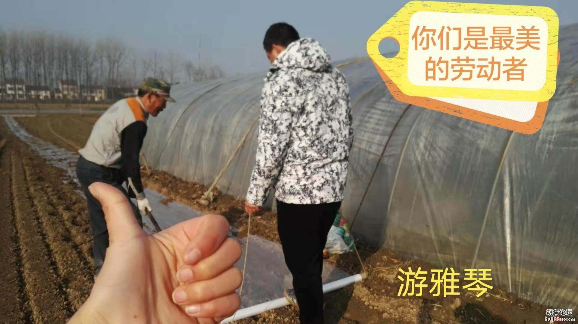【时空相隔  教育在线】（6）寒假生活•亲近自然  记录美好