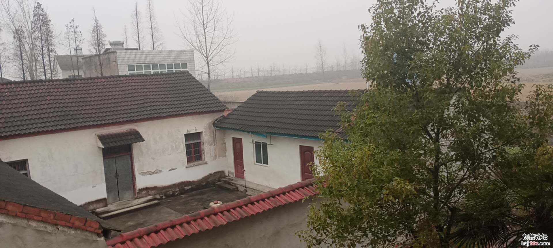 【时空相隔  教育在线】（6）寒假生活•亲近自然  记录美好