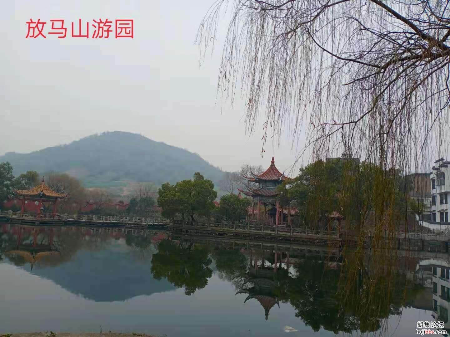 【时空相隔  教育在线】（6）寒假生活•亲近自然  记录美好