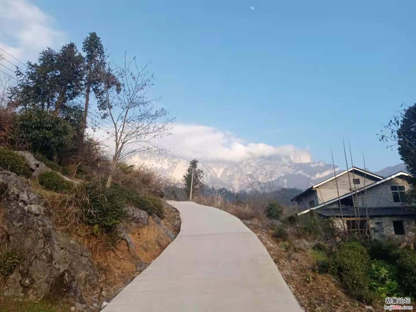 【时空相隔  教育在线】（6）寒假生活•亲近自然  记录美好