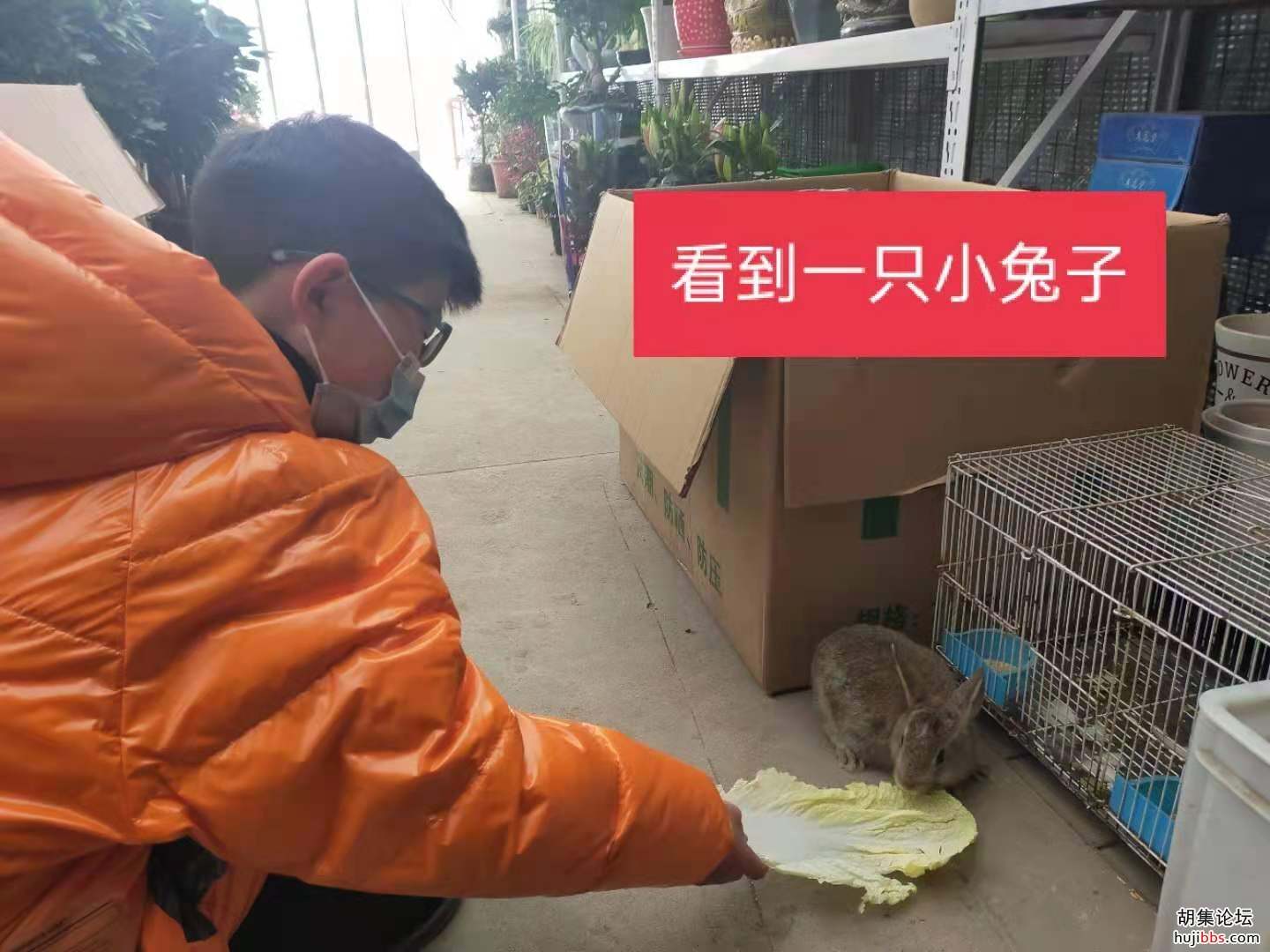 【时空相隔  教育在线】（6）寒假生活•亲近自然  记录美好