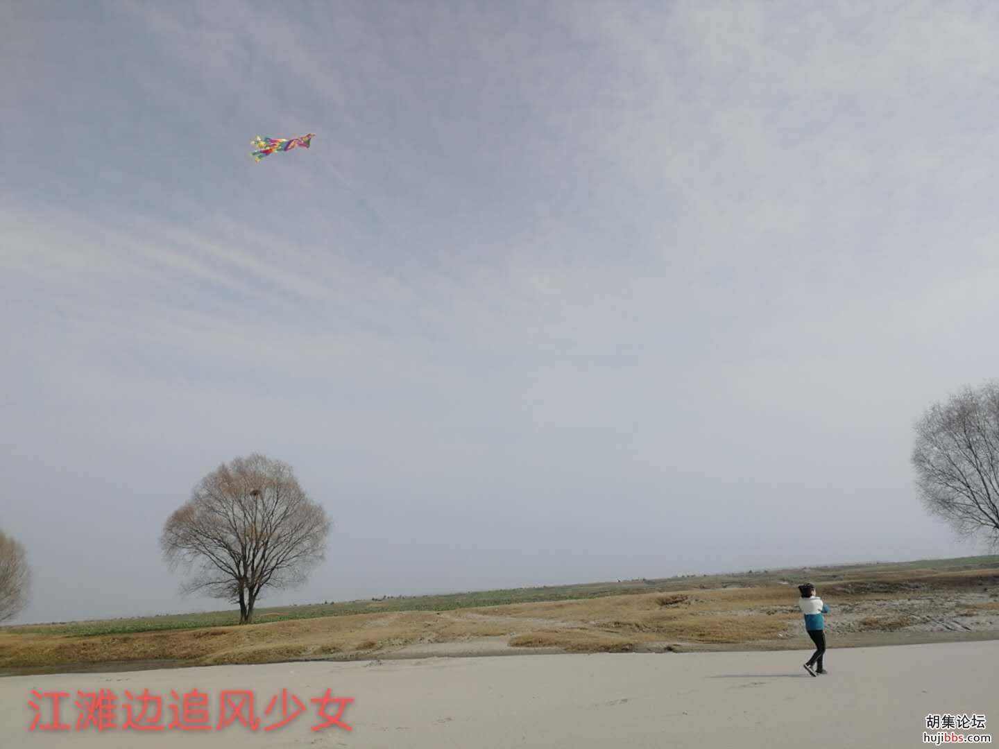 【时空相隔  教育在线】（6）寒假生活•亲近自然  记录美好