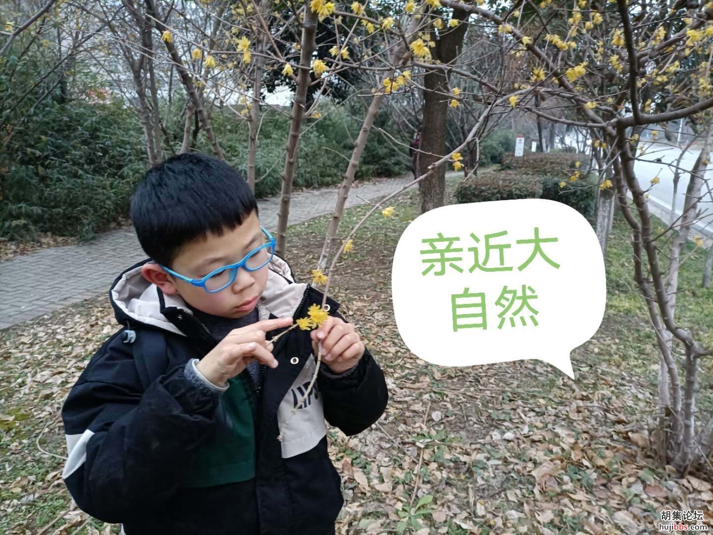 【时空相隔  教育在线】（6）寒假生活•亲近自然  记录美好