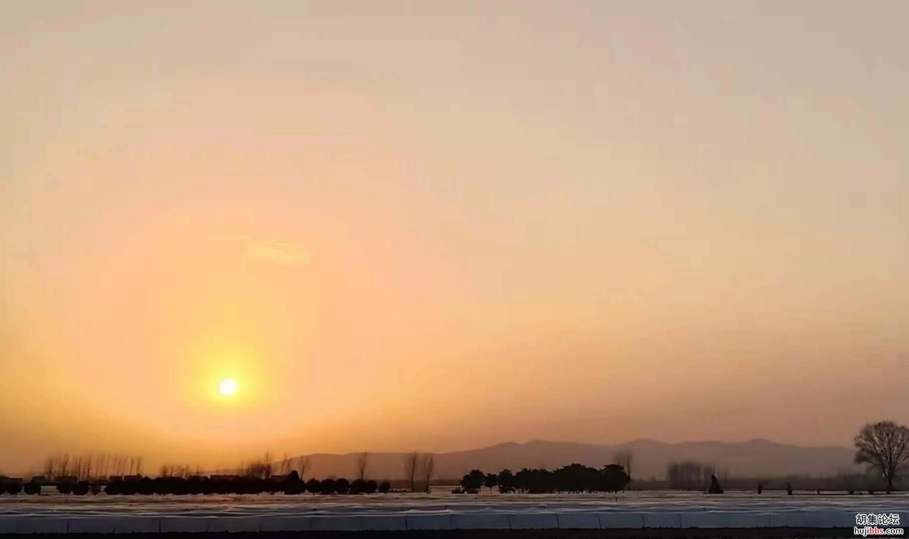 【时空相隔  教育在线】（6）寒假生活•亲近自然  记录美好