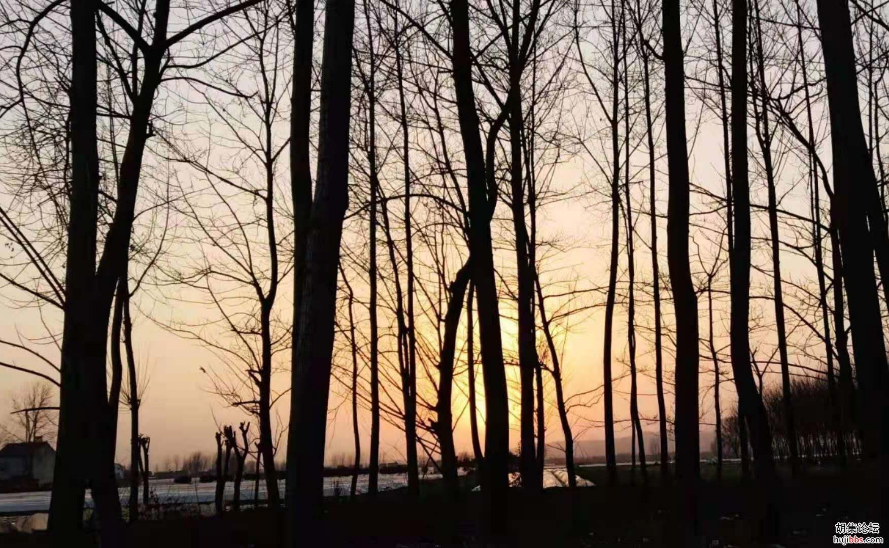【时空相隔  教育在线】（6）寒假生活•亲近自然  记录美好