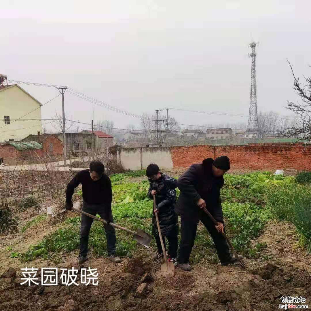    【时空相隔  教育在线】（8）寒假生活•温馨亲情