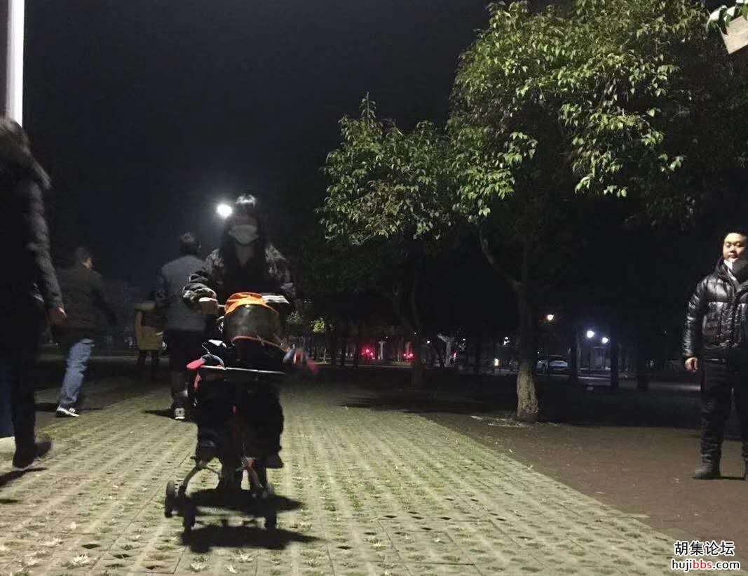    【时空相隔  教育在线】（8）寒假生活•温馨亲情