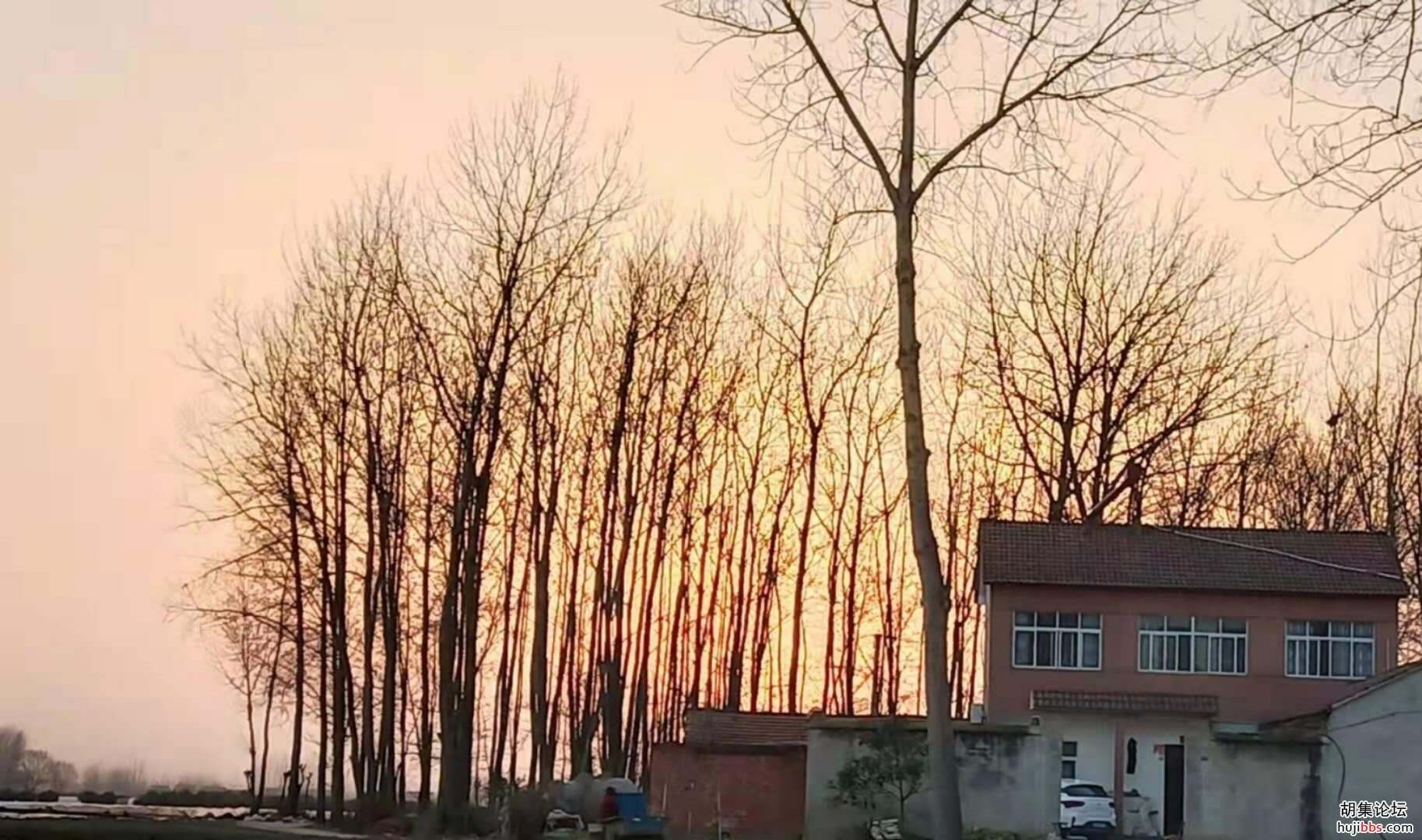 【时空相隔  教育在线】（6）寒假生活•亲近自然  记录美好