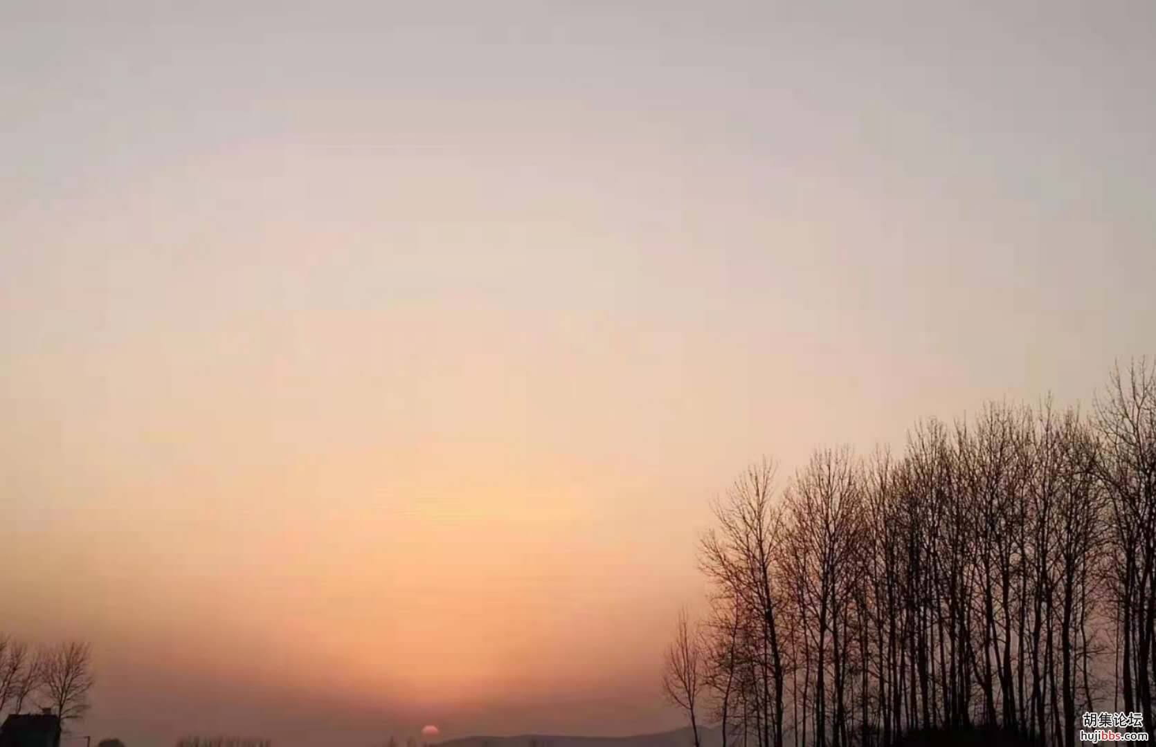 【时空相隔  教育在线】（6）寒假生活•亲近自然  记录美好