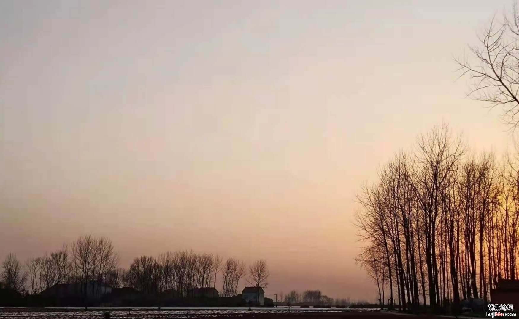 【时空相隔  教育在线】（6）寒假生活•亲近自然  记录美好