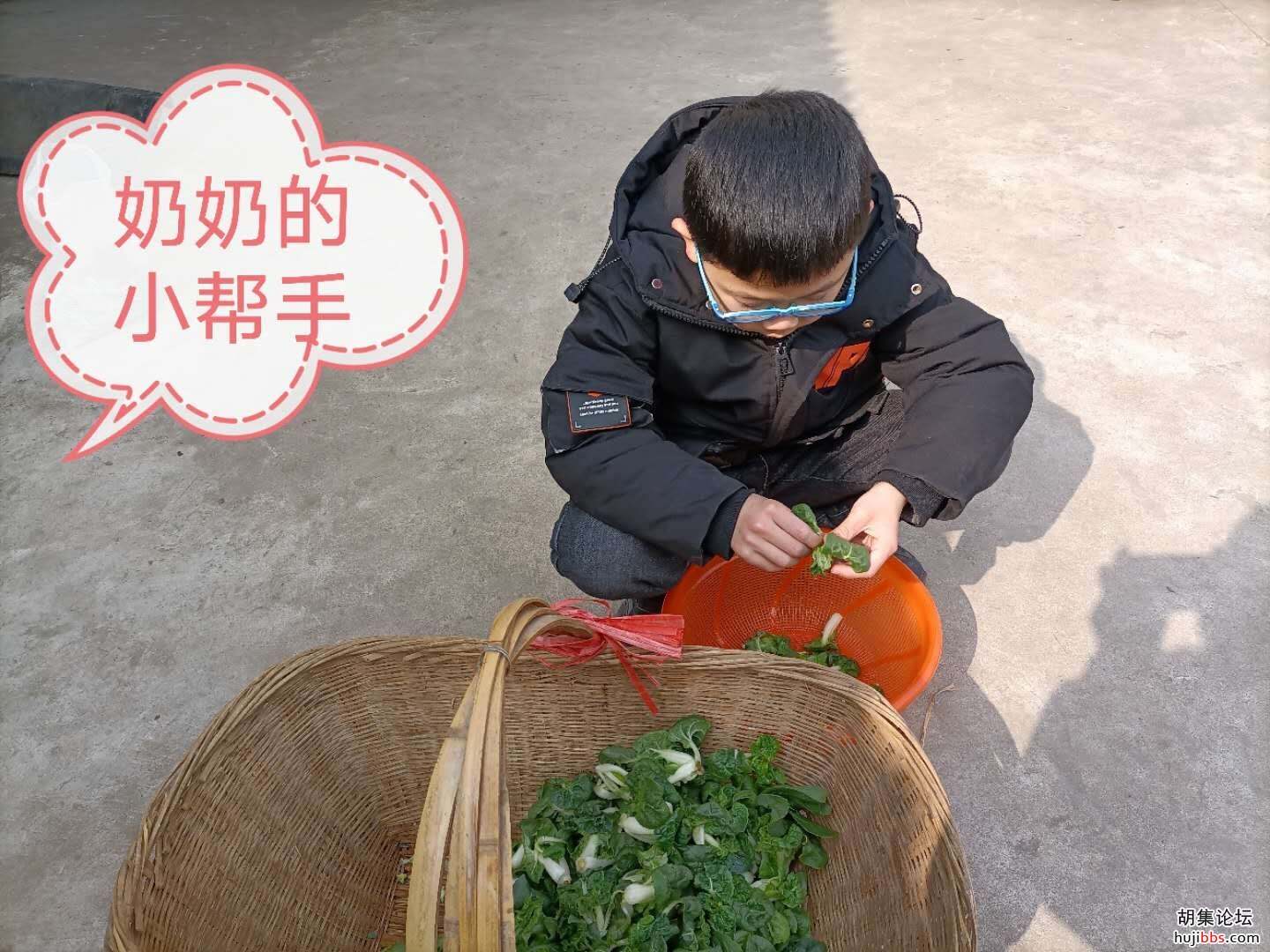 【时空相隔  教育在线】（9）寒假生活•实践活动