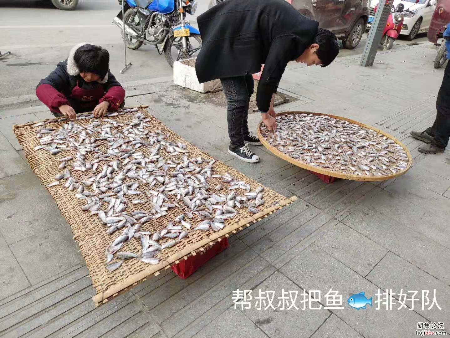 【时空相隔  教育在线】（9）寒假生活•实践活动